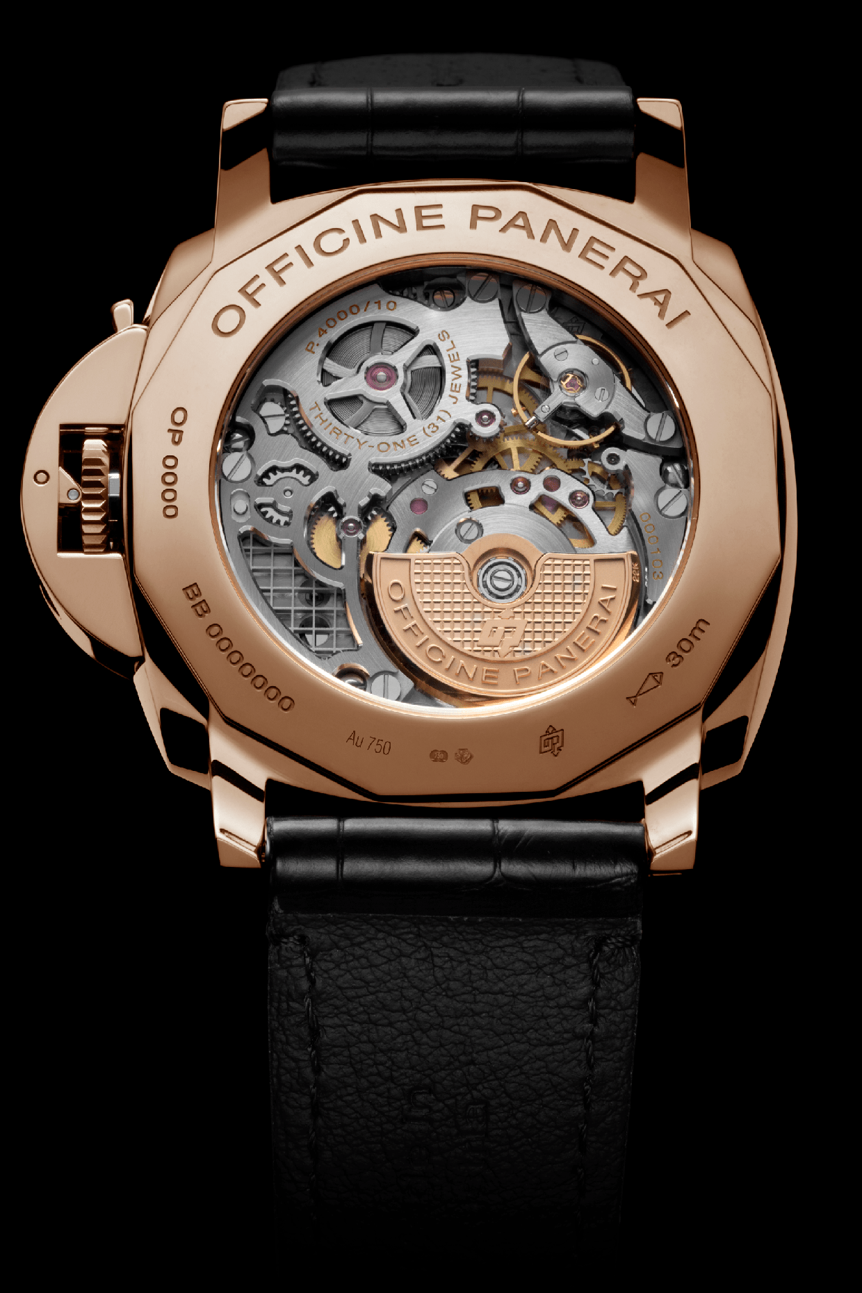 Pam675 Cat Dett03 B 1319664